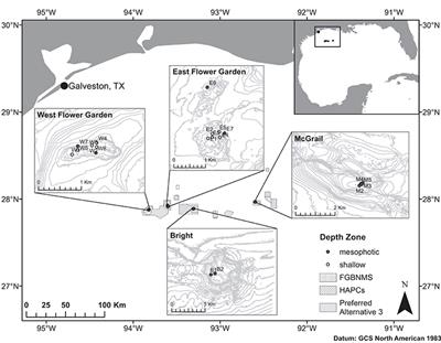 Assessment of Mesophotic Coral Ecosystem Connectivity for Proposed Expansion of a Marine Sanctuary in the Northwest Gulf of Mexico: Population Genetics